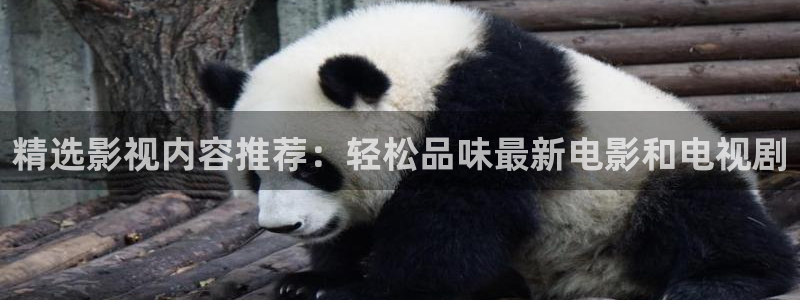 沐鸣2主管：精选影视内容推荐：轻松品味最新电影和电视剧