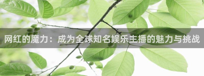 沐鸣2登录：网红的魔力：成为全球知名娱乐主播的魅力与挑战
