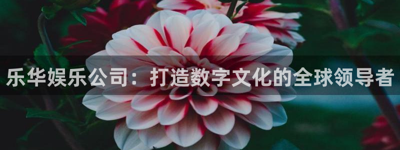 沐鸣娱乐：乐华娱乐公司：打造数字文化的全球领导者
