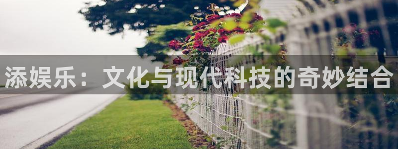 沐鸣2登录：添娱乐：文化与现代科技的奇妙结合