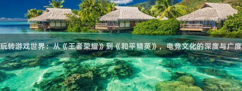 沐鸣3平台：玩转游戏世界：从《王者荣耀》到《和平精英》，电竞文化的深度与广度
