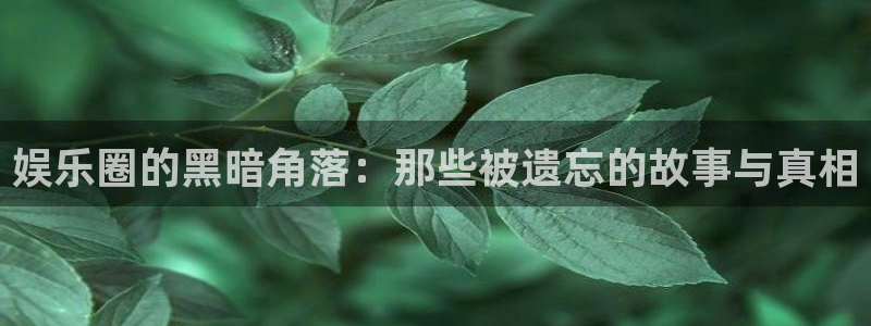 沐鸣科技：娱乐圈的黑暗角落：那些被遗忘的故事与真相