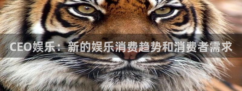 沐鸣2平台主管：CEO娱乐：新的娱乐消费趋势和消费者需求