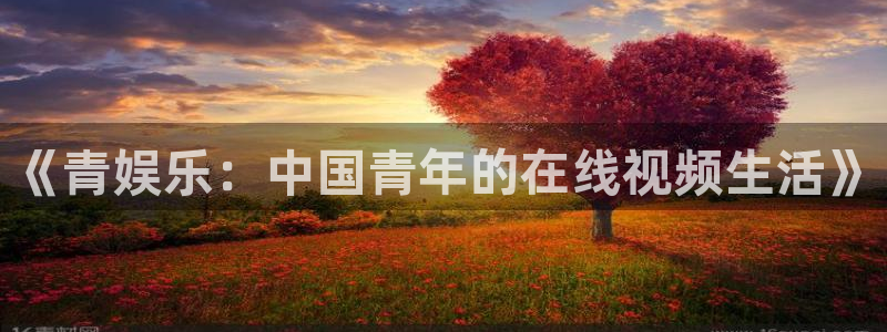 沐鸣2娱乐：《青娱乐：中国青年的在线视频生活》