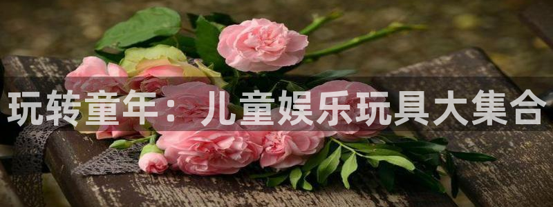 沐鸣平台：玩转童年：儿童娱乐玩具大集合