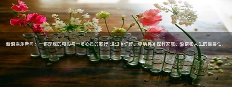 沐鸣2登陆：新浪娱乐新闻：一部深邃的电影与一场心灵的旅行-通过《你好，李焕英》探讨家庭、爱情和人生的重要性。
