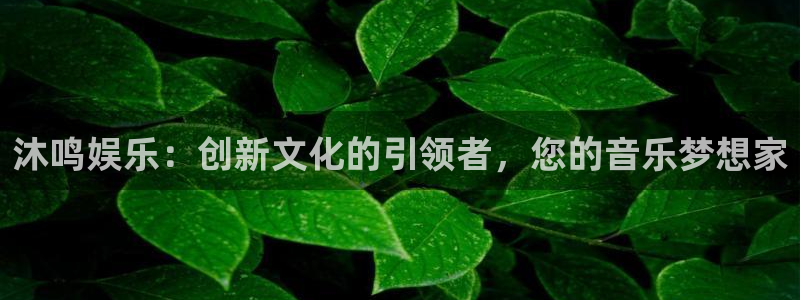沐鸣娱乐：沐鸣娱乐：创新文化的引领者，您的音乐梦想家