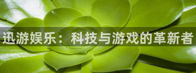 沐鸣2登陆：迅游娱乐：科技与游戏的革新者