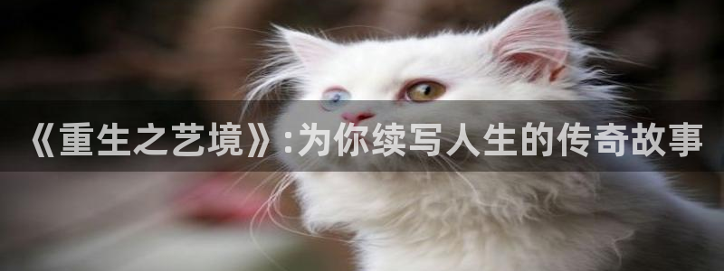 沐鸣2平台官网登录：《重生之艺境》:为你续写人生的传奇故事